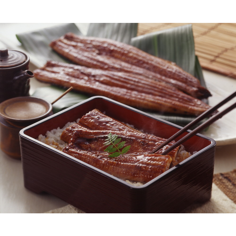 愛知県産 うなぎ蒲焼