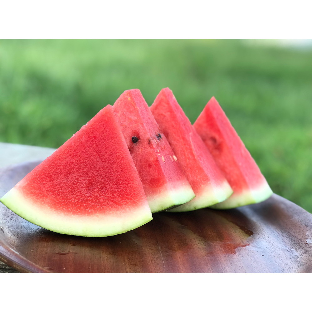 大分・日田「ふりや重石農園」ふりやスイカ