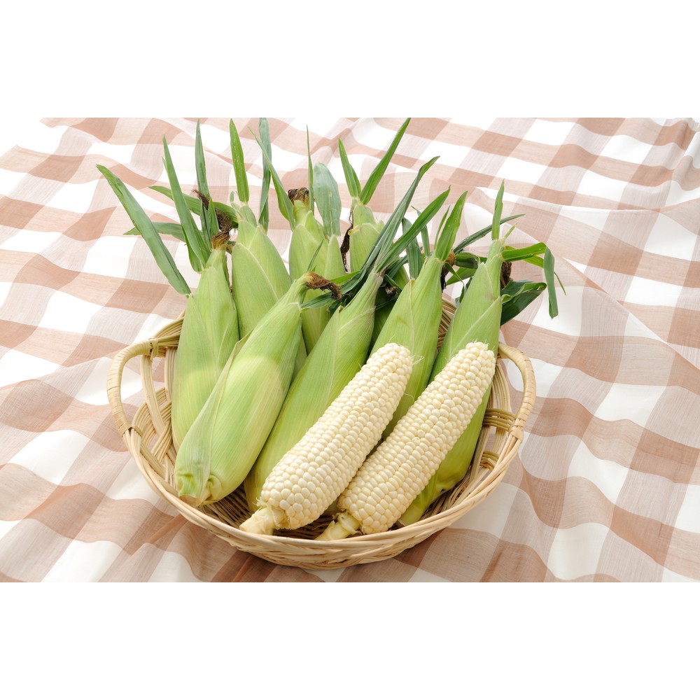 北海道産ピュアホワイト