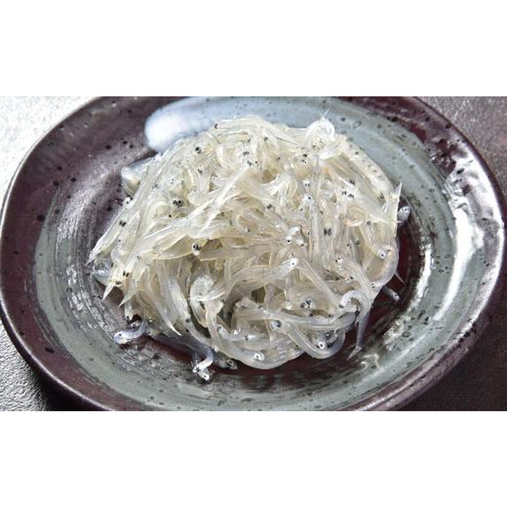 豊後別府湾産 生しらす 500g